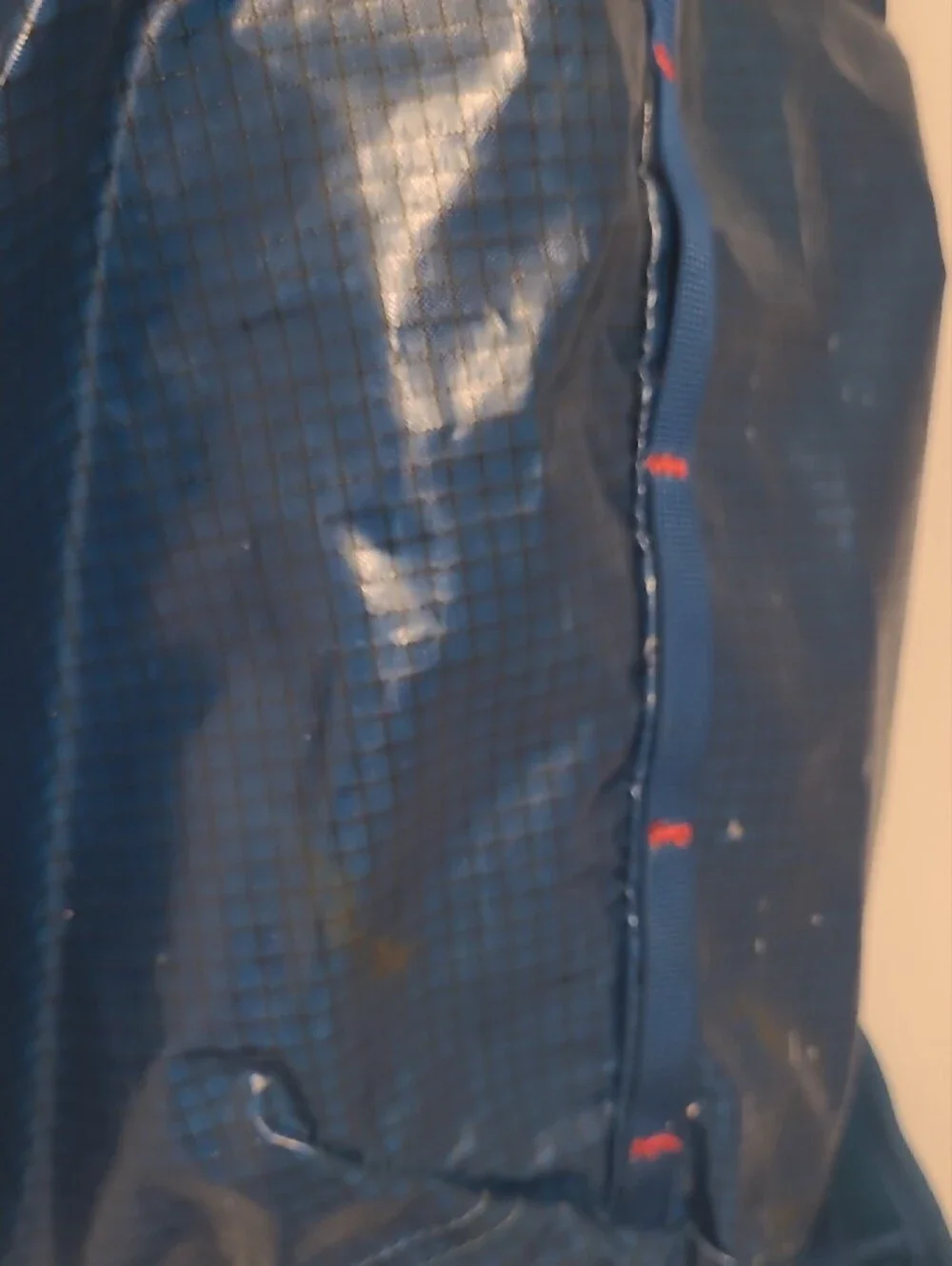 Patagonia Black Lightweight Roll-Top Pack